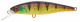 ILLEX SQUAD MINNOW 65 SP HL GOLD PERCH, Abverkauf