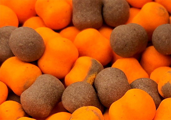 Sonubaits Bandum Wafters Chocolate Orange